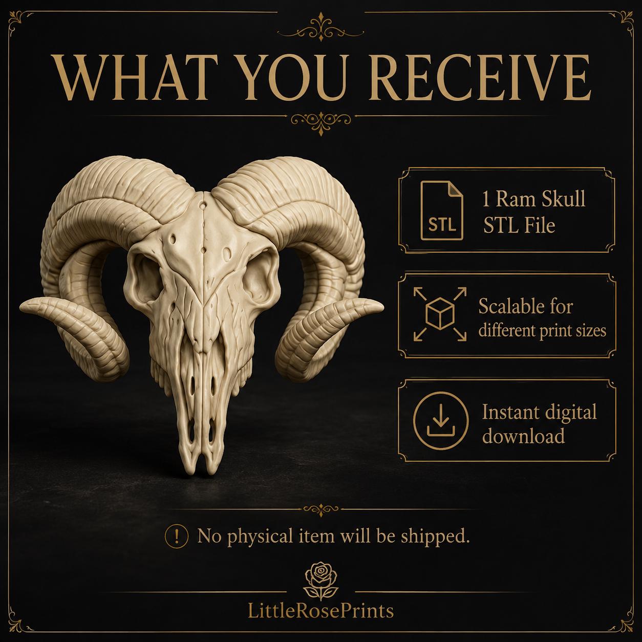 Ram-Inspired Skull STL File | Horned Skull 3D Print Model | Gothic Animal Skull Decor | Dark Fantasy STL | Digital Download